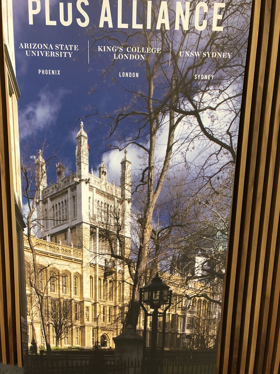 SwapnaReddy01's tweet photo. Great to present @PLuSalliance London 2018 re exciting #BIPH degree & #palliativecare curriculum/research w fab colleague + friend @AlisonCEssary! Excited for new collaborations! @UNSW @KingsCollegeLon @asuhealth https://t.co/XlgIqyzflw