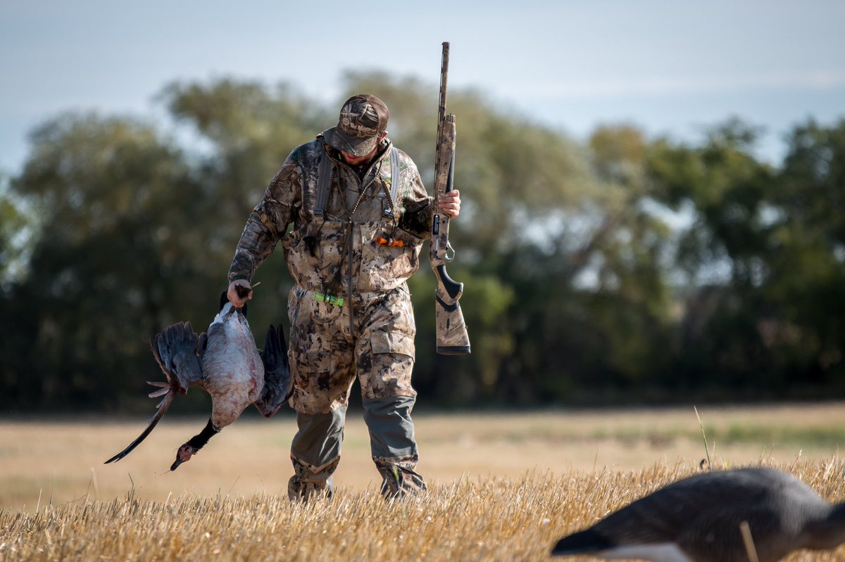 MCTProductions_'s tweet image. Do you duck or goose hunt? Hit that like button if you do!

#duck #goose #canada #field #hunting #waterfowl