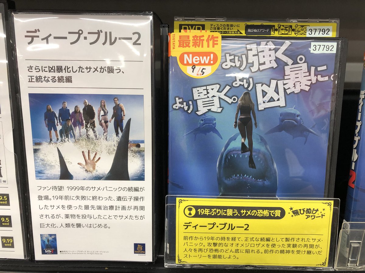 Tsutaya角盤町店 弓ヶ浜店 東福原店 大ヒットしているサメ映画 Meg ザ モンスター 人気サメ映画 ディープブルー の19年ぶりの続編 ディープブルー2 がレンタル開始しております この機会に色々なサメ映画をご覧になってはいかがでしょうか