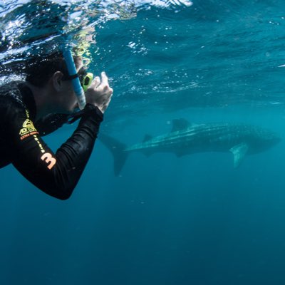 Dr Ran Li tweet media