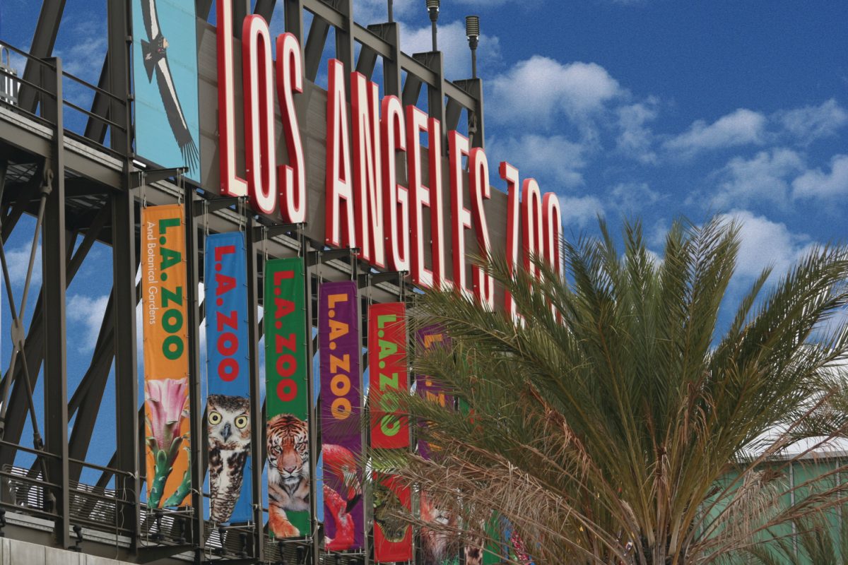 Planning4LA's tweet photo. @LACDRP @CountyofLA @SFMagicMountain @kathrynbarger We don’t have Batman!, but we have bats, man 🦇! Since 1966, Angelenos have been enjoying the @LAZoo located in @davideryu’s #CD4 near Griffith Park. The #Zoo also houses the Botanical Gardens. It’s a unique piece of planning that we love visiting! #WhichLA https://t.co/msdbZLuMpF