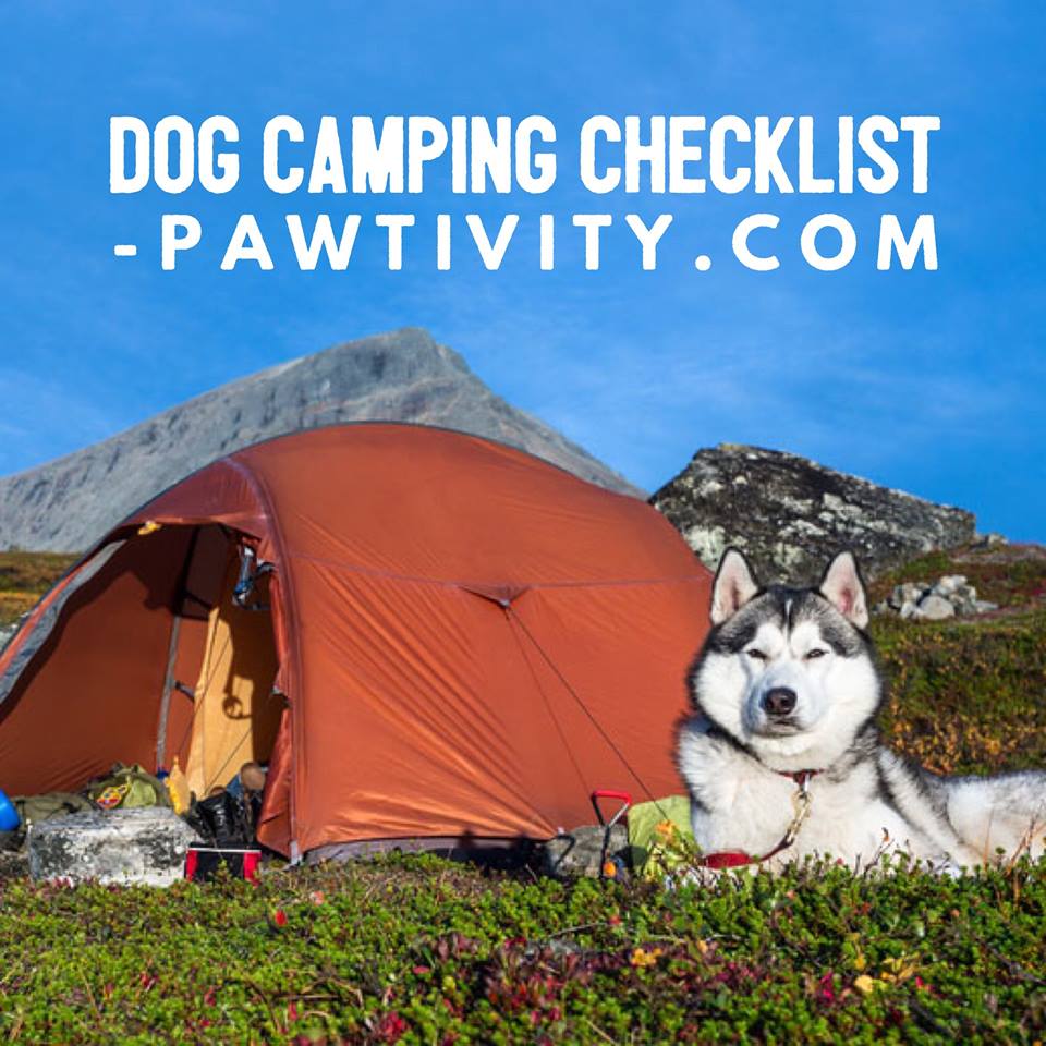 Pawtivity's tweet photo. Don't go camping without it! Print this checklist. 

https://t.co/yM3BNYkl6n
#camping #campingwithdogs #adventuredog #pawsthatwander #dogadventures #dogfriendly https://t.co/mE4kv9ehVs