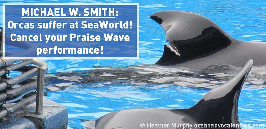 peta's tweet photo. Tweet at musician @michaelwsmith and let him know why performing at #SeaWorld’s #PraiseWave is WRONG.
After you’ve done that, take action here: https://t.co/Tli8AwrWzt https://t.co/OaP7H6kfcQ
