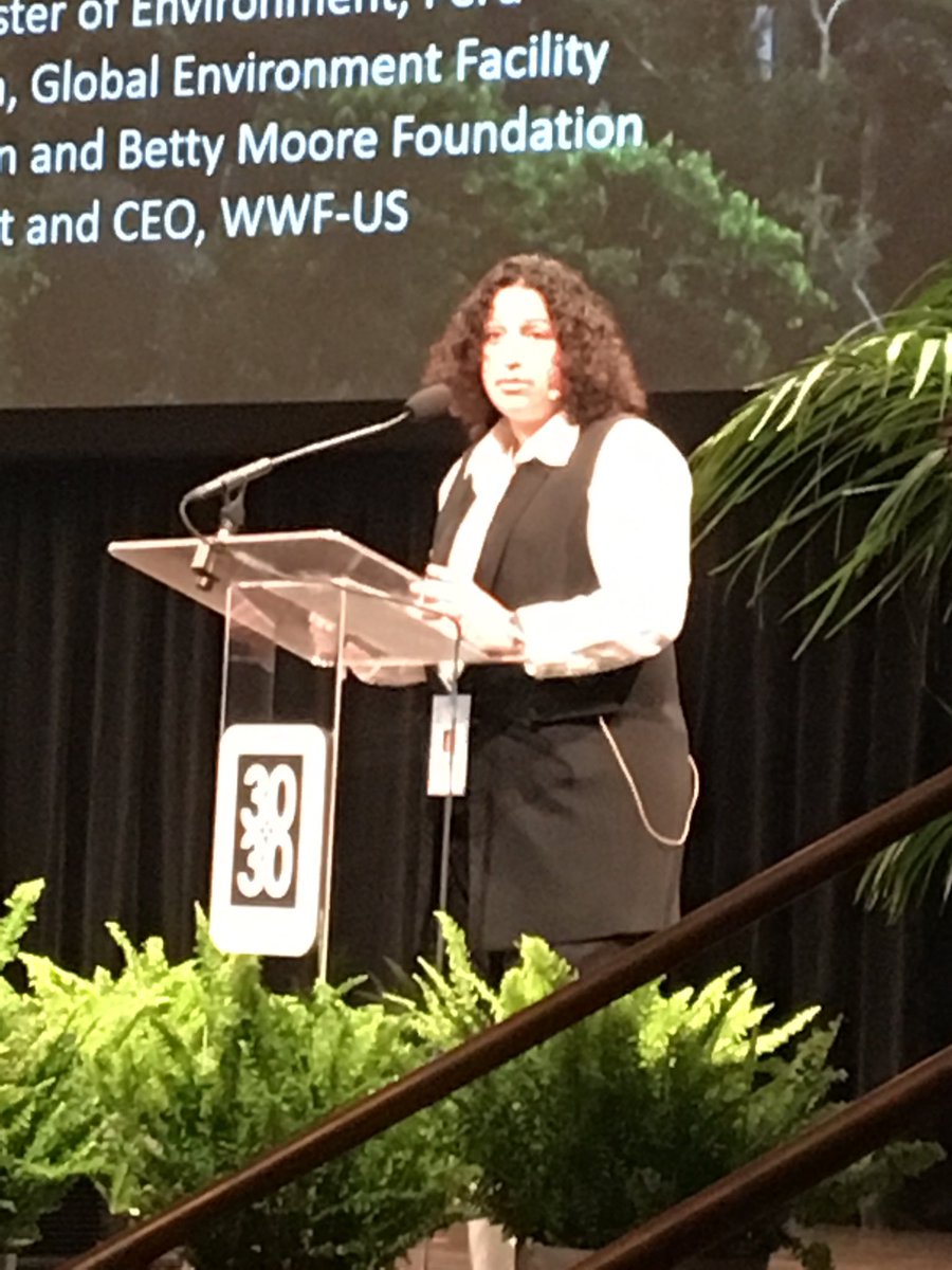 MichaelLesnick's tweet photo. Peru Minister of Env, Fabiola Munoz Didero: “the challenge of securing climate benefits in forests and land use requires a coalition of government and non-state actors”. https://t.co/HpMUsNPO86