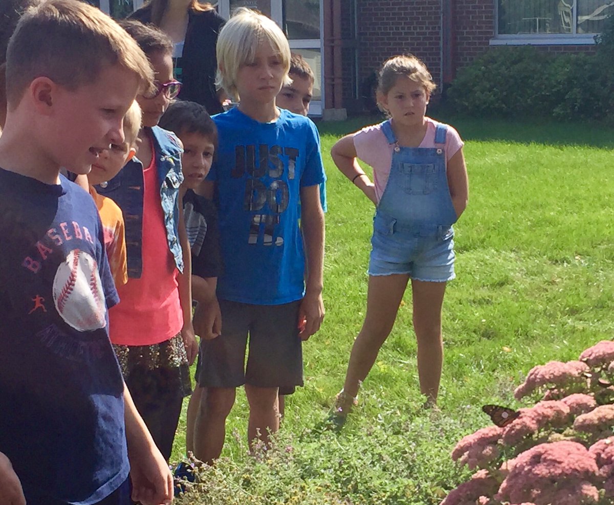 All eyes on a Monarch we just tagged with Grainwood 3rd graders today! #WeArePLSAS