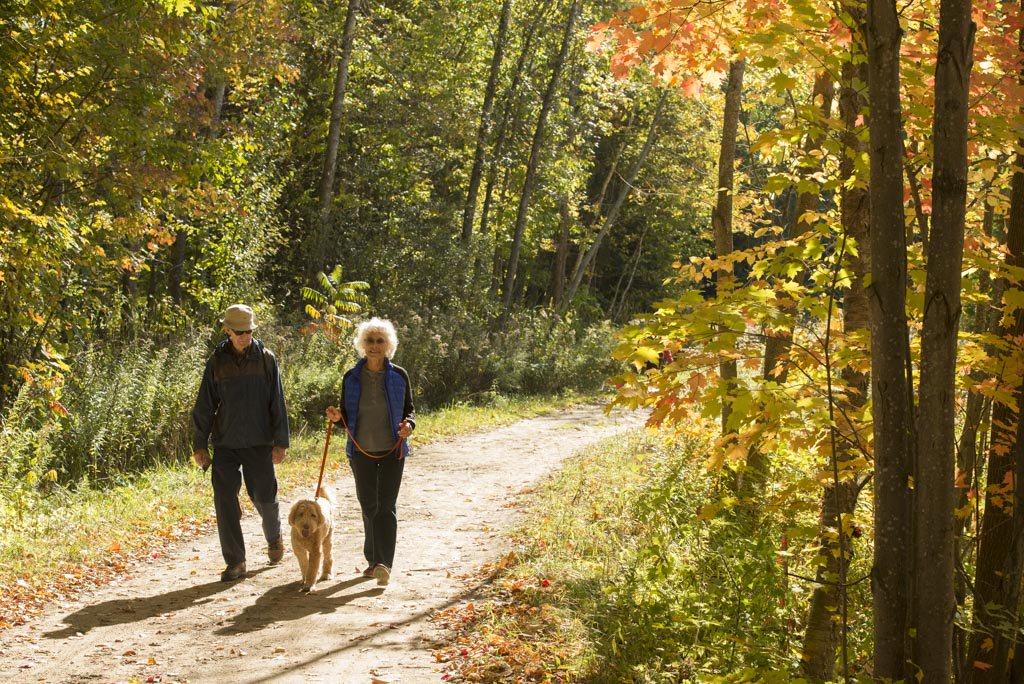 OrilliaLakeCo's tweet photo. Check out the new blog post on our website and βFall in Love With Ontarioβs Lake Country' all over again!
Click here to view blog now -> https://t.co/QEY6b5fnaF
#FallColours
#FallTours
#Blogs
#DiscoverON
#OntLakeCountry https://t.co/8NaNQwUBA3