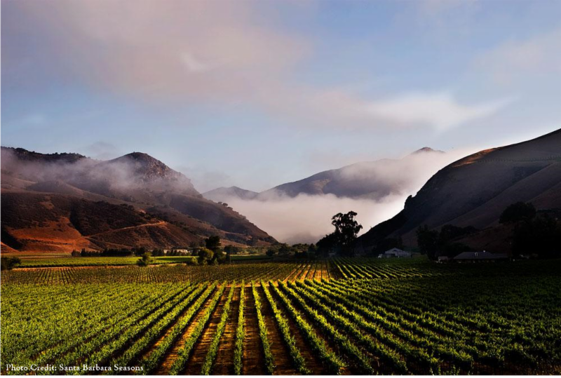 wineloverAP's tweet photo. Ready to go to Santa Barbara wine country? Click here for a few fantastic winery recommendations! https://t.co/YmT2VGDvme https://t.co/yapQf5D3f3