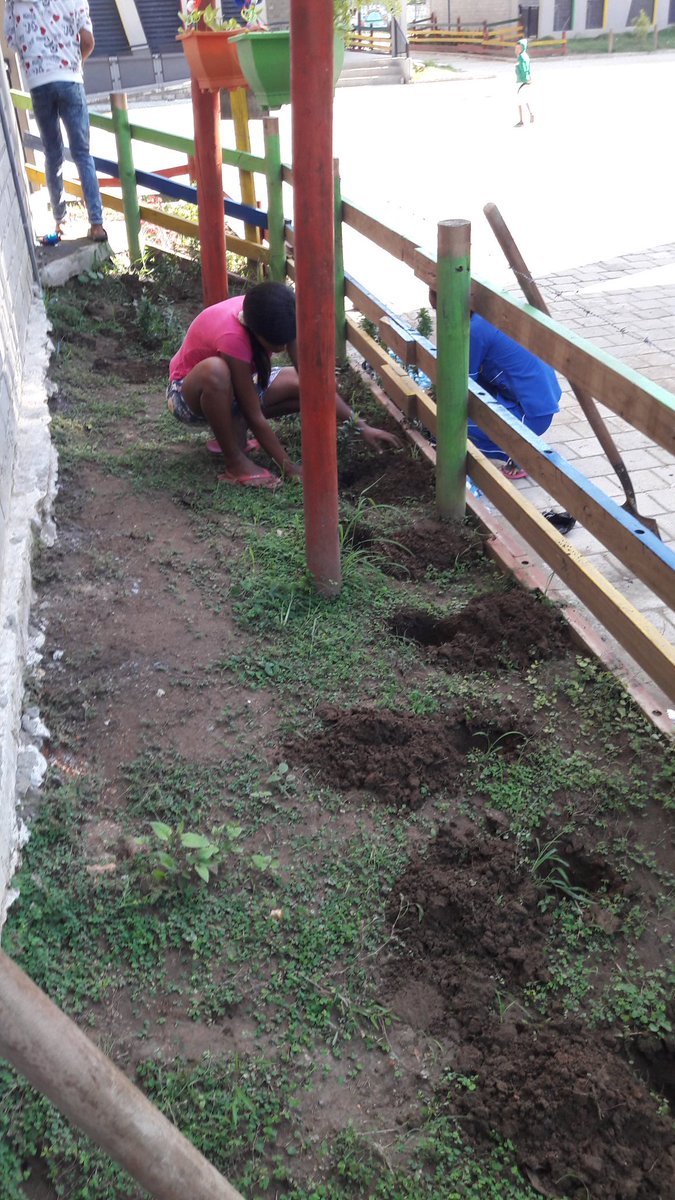 LuzStella0105's tweet photo. Sembrando plantas ornamentales, I.E. La Unión. Servicio social fase 3 (Proyecto de ornamentación y embellecimiento)@SEMLORICA1 @urueta1981 @fainrase https://t.co/kEVjUkt2Tq