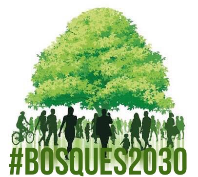 Cuautlancingo4U's tweet photo. #Cuautlancingo Las ciudades inteligentes y sostenibles son estrategias innovadoras que: “utilizan las TIC y otros medios para mejorar la toma de decisiones, la eficiencia en las operaciones, la prestación de servicios urbanos y su competitividad. #Bosques2030 https://t.co/ukxvzMPzMJ