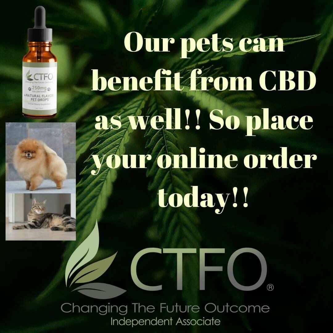 CbdAbility's tweet image. #cbdpets #cboils Yes your #dog or #cat Can benefit from  CBD oil too. #swanseaonline #walesonline For humans too!! #anxiety #depression #ibs #insomnia #UK