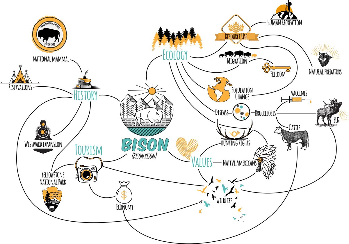 GYEConference's tweet photo. Today we had a great panel discussion with local youth sharing perspectives on living with bison AND a mind map showing the complexity of relationships surrounding this animal. Thanks to @ecologyproject for facilitating and preparing this graphic! #TrackingTheHumanFootprint https://t.co/wpDLGPWVSB