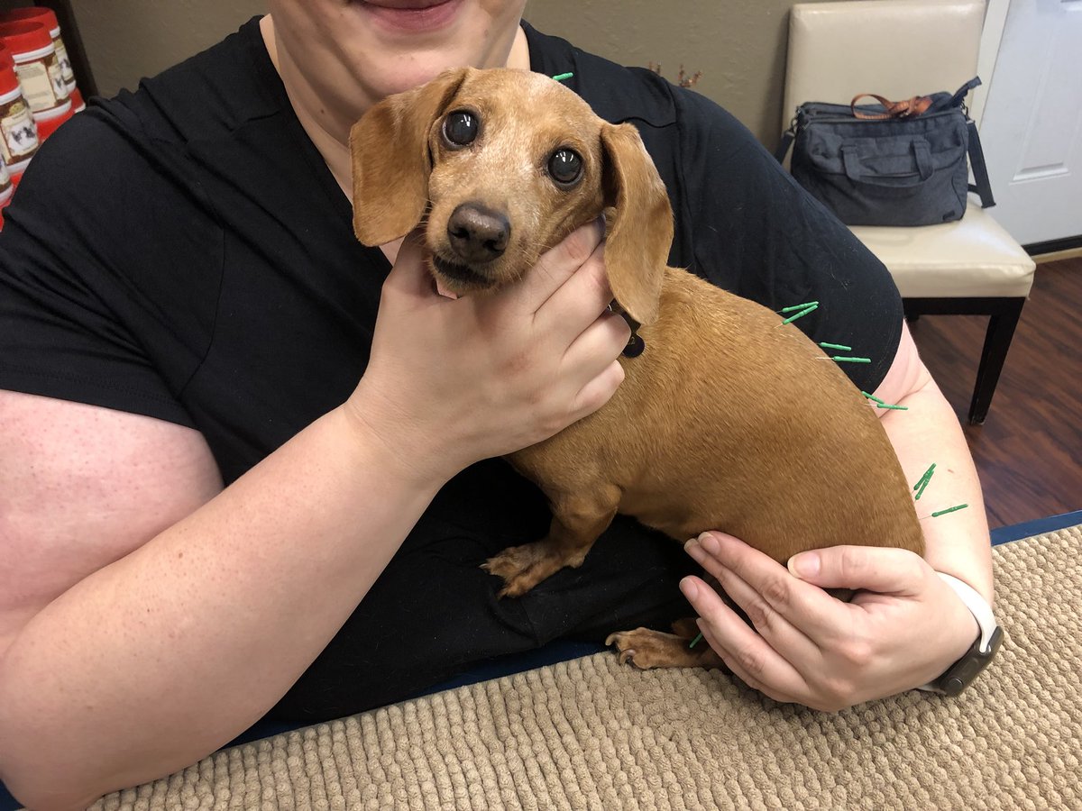 State Line Animal Hospital tweet media