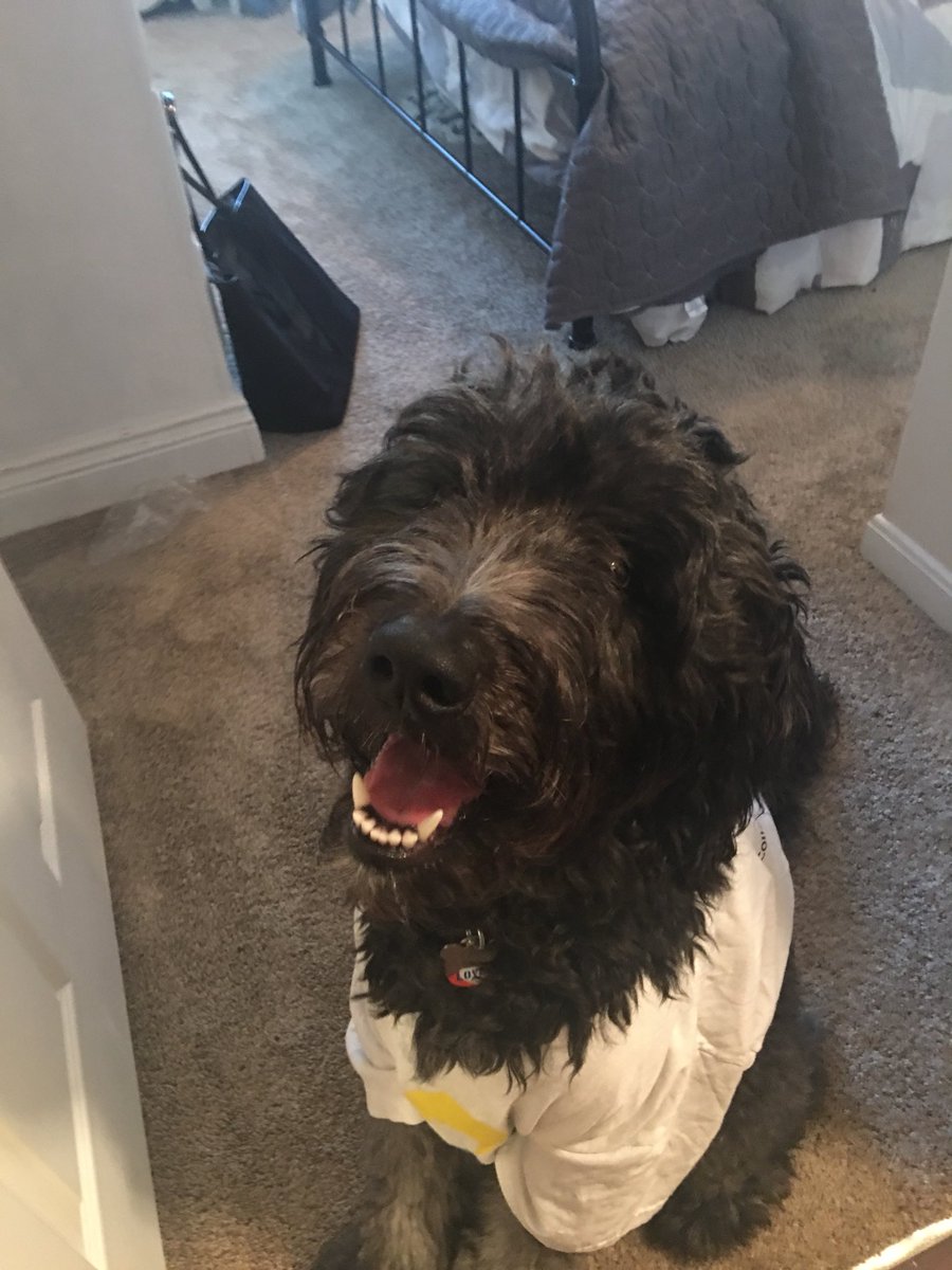 emilyynicole29's tweet photo. Maggie dances #FTK!!! Do you? @WSU_MM #DogsForTheKids #DMDogs #DogsDanceToo #MiracleDogs #DogsFTK https://t.co/5lY6YiLjUo