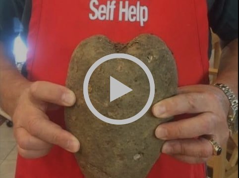 helpBSH's tweet image. 🌀 Hurricane Florence: BSH CLOSED 9.13.18 - mailchi.mp/blufftonselfhe…