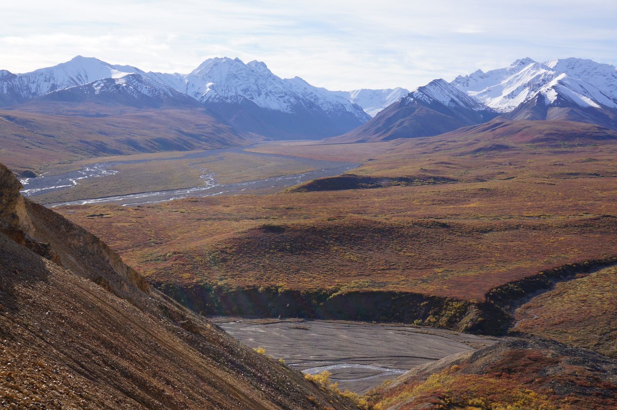LM_Farquharson's tweet photo. Amazing geoscience field trip to Denali National Park with our @uafairbanks #geomorphology students this past weekend. Perfect weather, incredible landscapes + some bonus bears. Thank you @DenaliNPS! #geoscience #fieldtrips #landslides #Alaska @UAFGI https://t.co/oT8A55YUx4