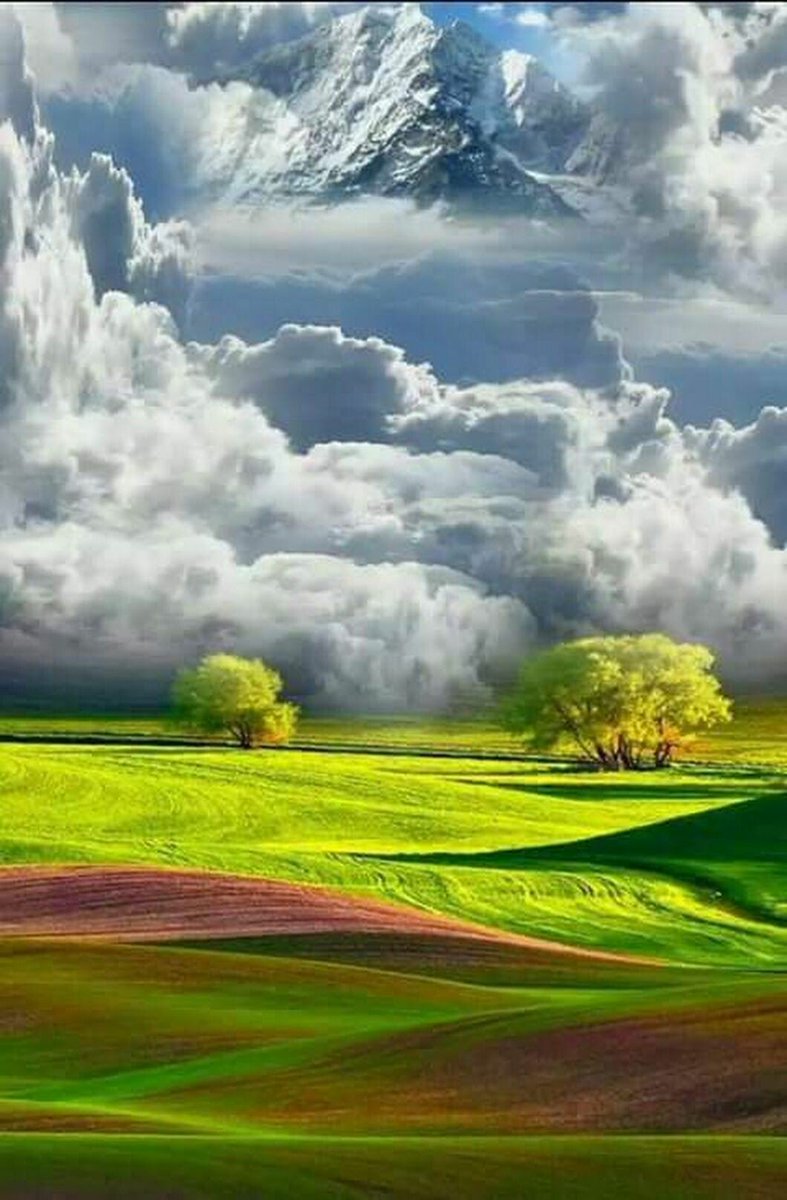 ❣KAIA❣ (@kaia_cindy) on Twitter photo 