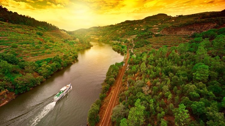 ArlequinWine's tweet photo. This Thursday we are taking the deep dive into Portugal! Check out the classics alongside the not so well known varietals coming from this beautiful area. If you can't be in Portugal, you may as well be with us during this tasting. 6-8PM 9/13 $20 #deepcellars #AWMtasting https://t.co/cNvTakIZUg