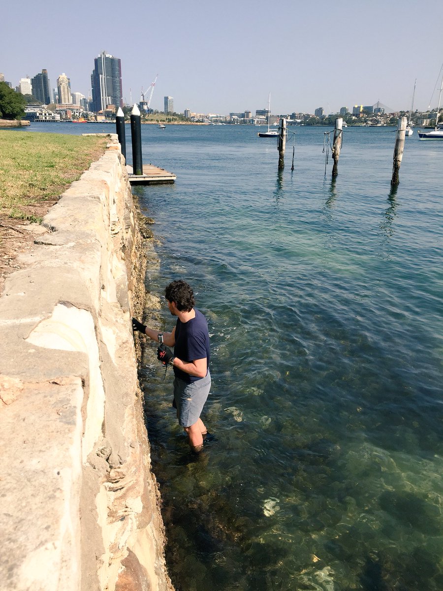 Maria Vozzo (@marialvozzo) on Twitter photo Some final site assessments with <a href="/AlexGoad8/">Alex Goad / Reef Design Lab</a> before our first <a href="/LivingSeawalls/">Living Seawalls</a> installation. Very much looking forward to the next phase of this @SydneyMarine project Some final site assessments with <a href="/AlexGoad8/">Alex Goad / Reef Design Lab</a> before our first <a href="/LivingSeawalls/">Living Seawalls</a> installation. Very much looking forward to the next phase of this @SydneyMarine project