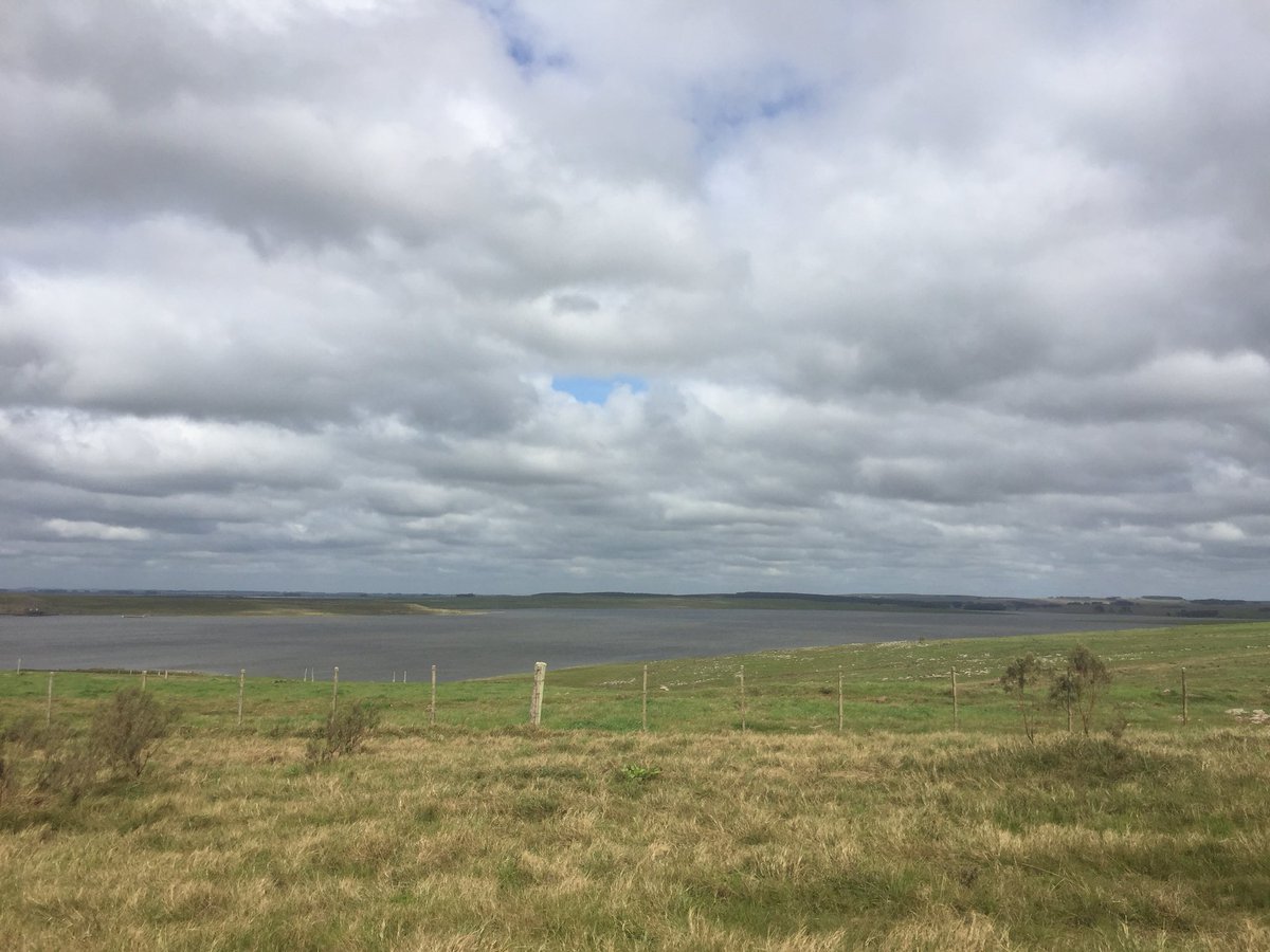 rice_tor's tweet photo. Espectaculares paisajes disfrutamos en la zona de Lascano, Rocha, visitando a productores que quieren sumar nuestra tecnología. https://t.co/4g2r4UMs5A