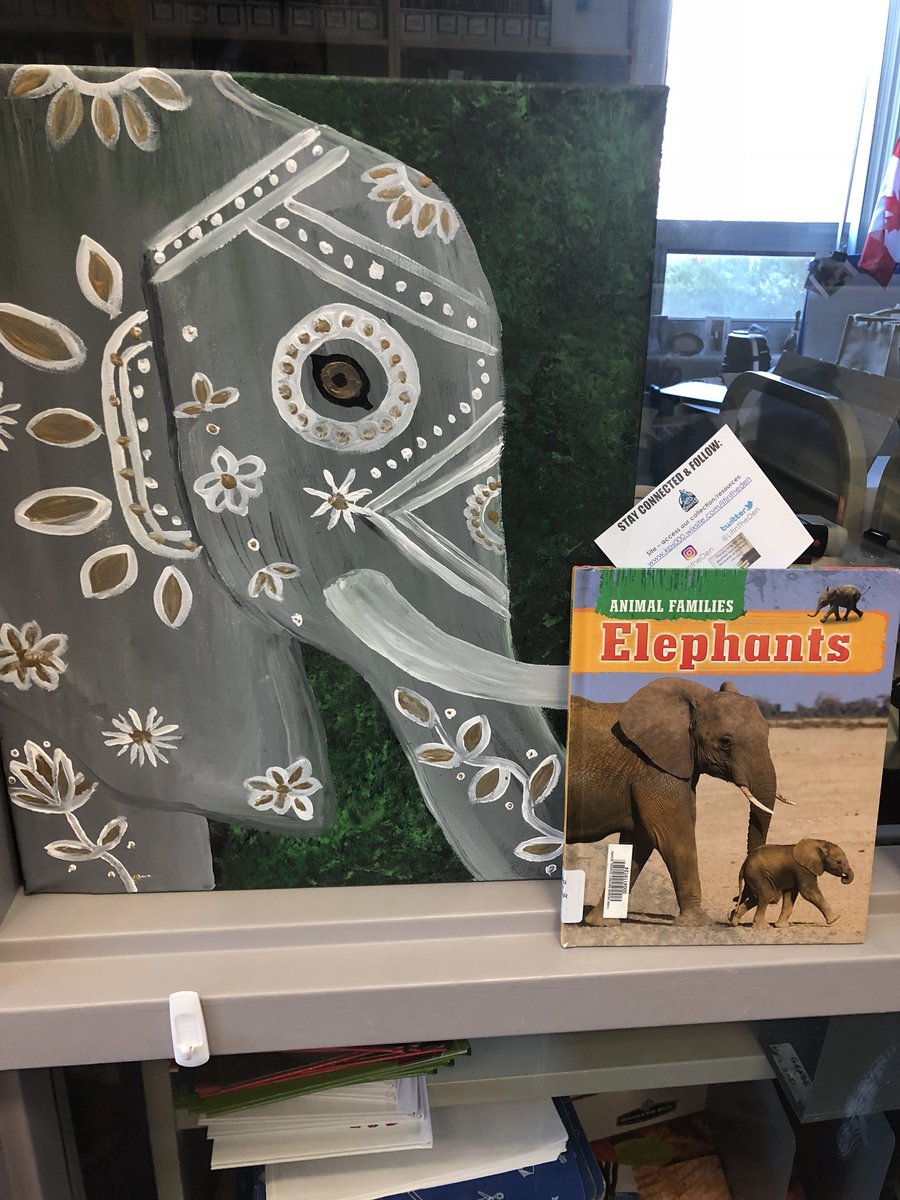 Mrs. G. Di Padre tweet media