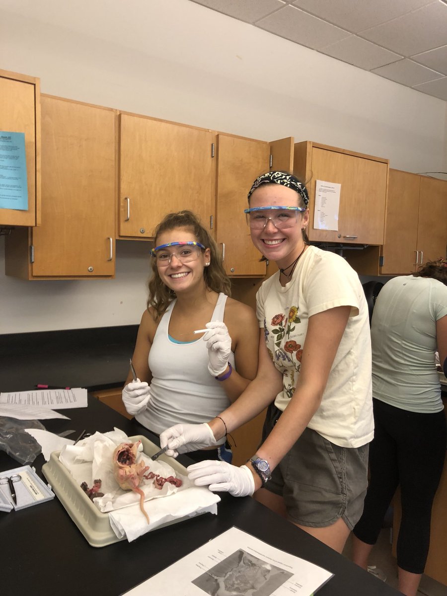 keballou's tweet photo. Anatomy and physiology students dissected rats today to examine organs and organ systems and learn how humans and rats are similar/different.  Everyone did an amazing job! @medfieldscience https://t.co/6TO913JTn2