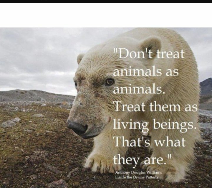 emma_gcb__1's tweet photo. And if you don't by abusing them,your day will come ~ KARMA ! https://t.co/N75nPiEY3A