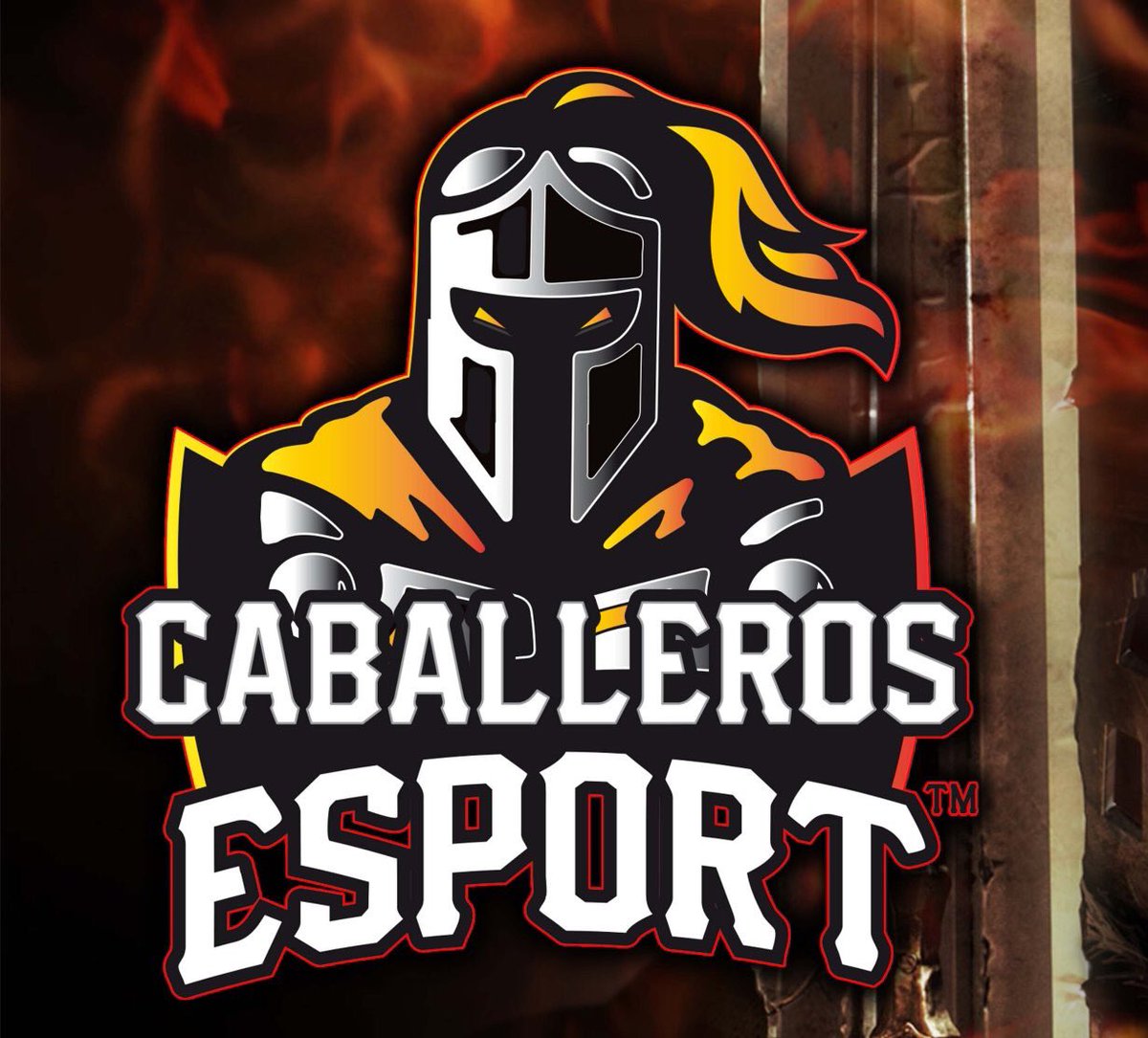Agradecemos a <a href="/onepiece199290/">one piece</a> por colaborar con Mascot logo para nuestro nuevo equipo <a href="/knightsEsport_/">Caballeros eSport™️</a>  un placer haber colaborado contigo 🤟