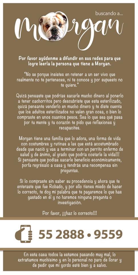 BuscandoaMorgan's tweet photo. La TENACIDAD es la madre de todos los éxitos, así que sigamos BUSCANDO A MORGAN!!!
Por favor, ayúdenme a compartir. @franciscozea @faisirrito @canaltvcmx @CiroGomezL @Javier_Alatorre @Tabatajalilreal @taniarin @monicagarzag @El_Universal_Mx @Milenio @Reforma https://t.co/7sIlMHFzBO