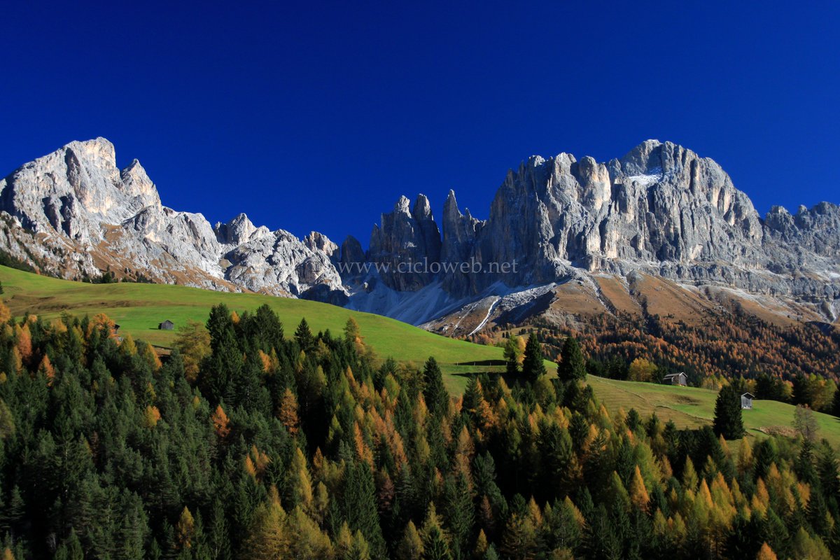 Ciclowebnet's tweet photo. Le #guide di #cicloweb alla scoperta dell'#AltoAdige - #SudTirol ed in particolare della val di #Tires ai piedi di #Catinaccio e Torri del #Vajolet
https://t.co/yEqXe2hTOj
@EggentalValdega @altoadige_info https://t.co/BgAfNzBKRp