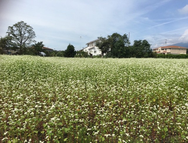 Marzcollection Twitter Search Twitter Marzcollection Twitter Search Twitter