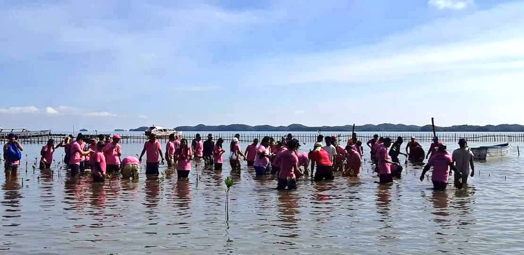 OredRegion1's tweet photo. DIR. PIPO headed the tree planting activity of Comelec Pangasinan before typhoon Ompong enters the Region 1☔
@COMELEC_GAD @dirfrancesarabe @commrguanzon @LTFGuia https://t.co/W3jbWV3I54