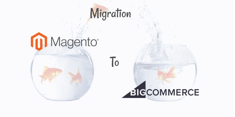 ditindia's tweet photo. Here’s Why Migration From Magento To BigCommerce Can Be Good For You: https://t.co/g1CYKBpiib #Magento #Bigcommerce #Web #designers #developers #development #services #Ditindia https://t.co/B3BYB1LUL5