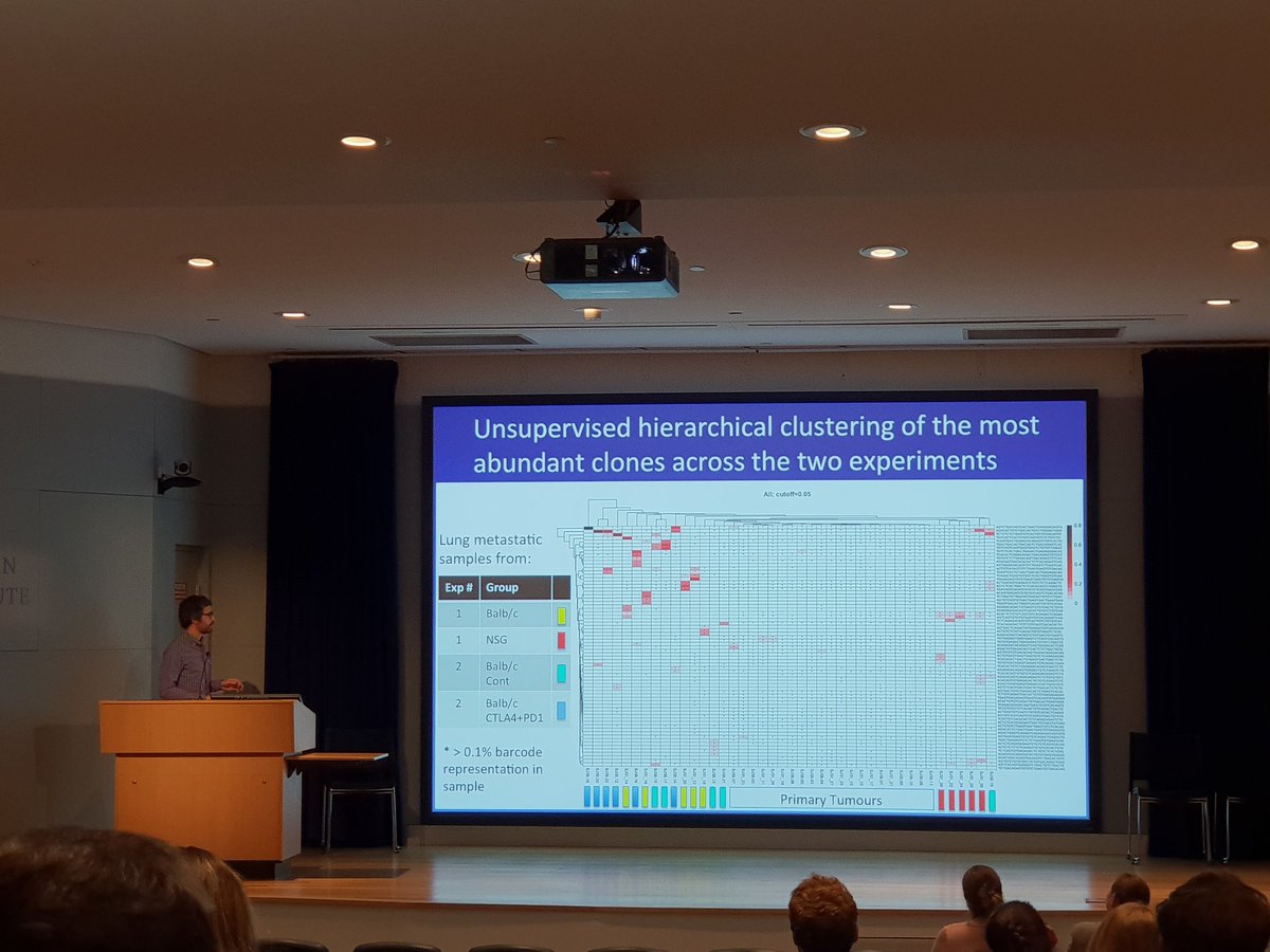 sunnyz_wu's tweet photo. @SimonJunankar showing us the power of DNA barcoding for exploring immuno-editing in breast cancer! @GarvanInstitute #SVT2018 https://t.co/8QD80iC1S2