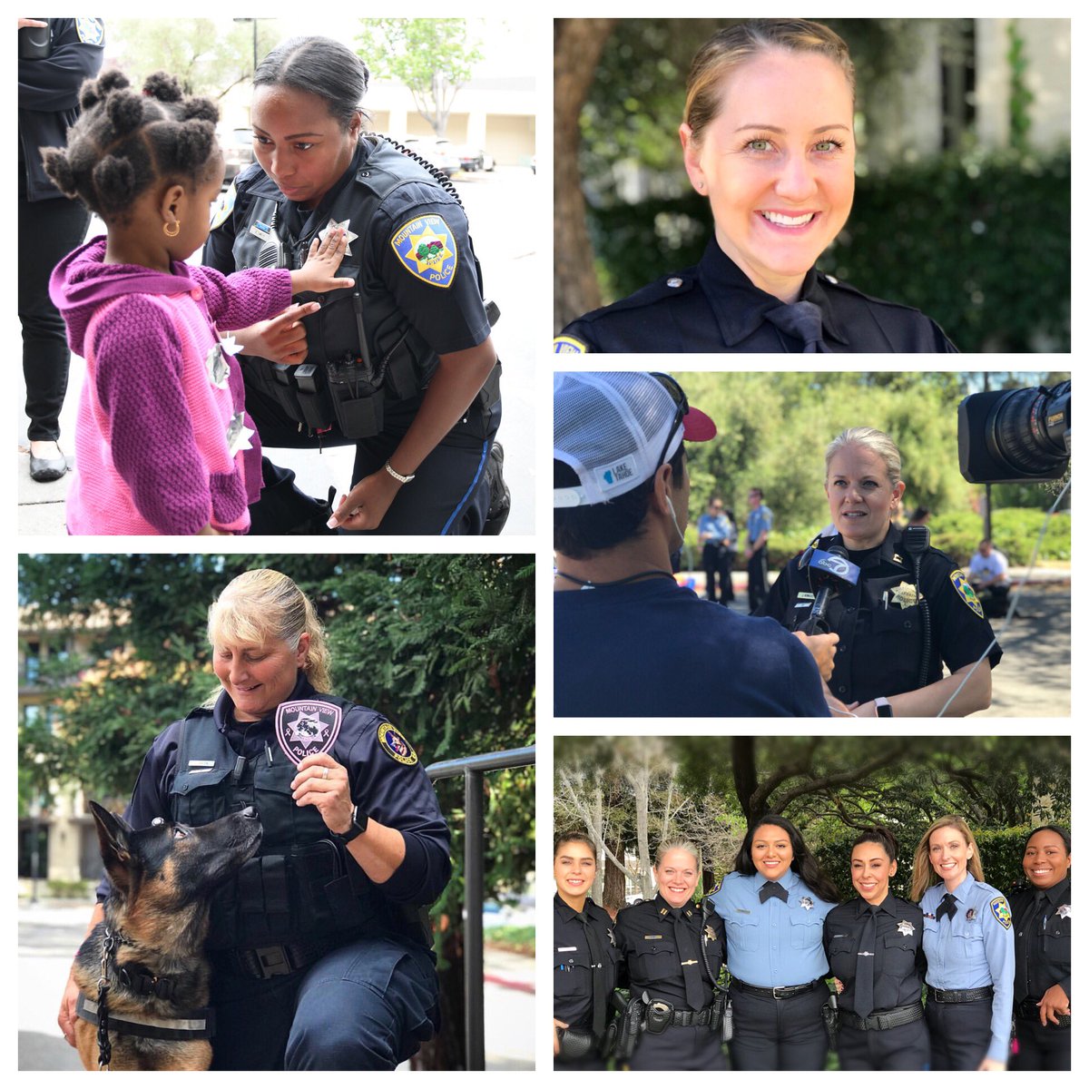 Mountain View Police tweet media