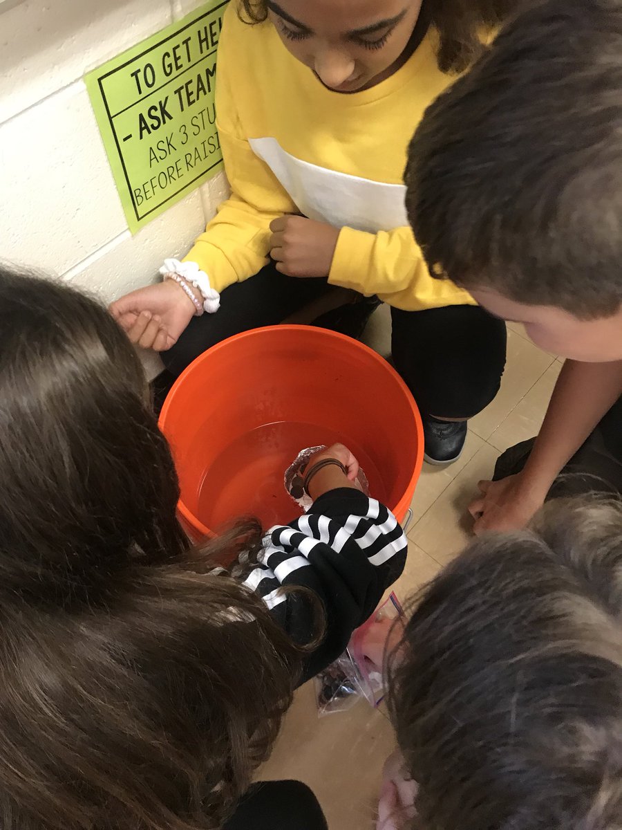 Mrs_Cuomo's tweet image. Hit a record of 224 pennies on our aluminum foil boats. Can’t wait to see what we can do tomorrow! #problemSolving #introtocoding #coding
