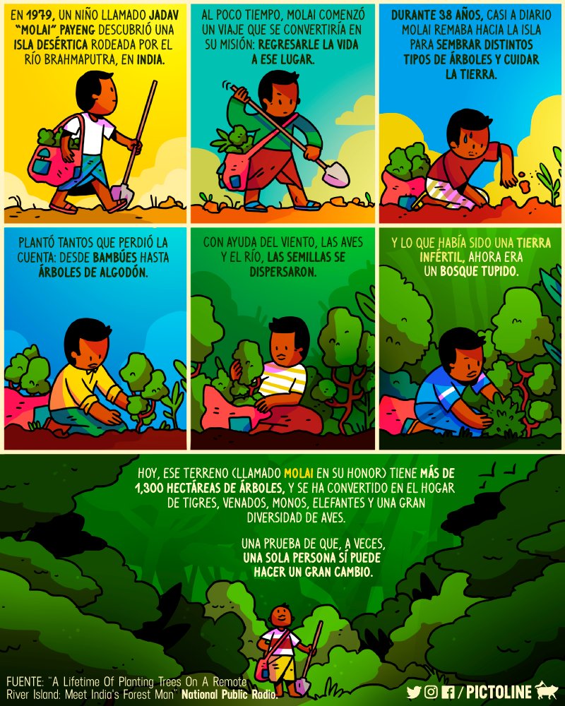 pictoline's tweet image. A veces una sola persona sí puede hacer un gran cambio 🌳🌲🌳🌲🌳🌲🌳🌲😁🌲🌳🌲🌳🌲🌳🌲🌳