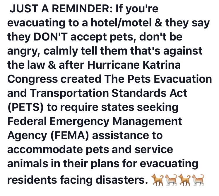 HeidiSHecht's tweet photo. #HurricaneFlorence #HurricaneFlorence2018 If you have to evacuate, take your pets with you and keep this in your hip pocket. https://t.co/q3hTPn6cNP