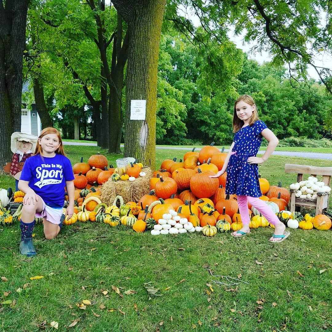 KLamb14125's tweet image. Lamb fam pumpkin stand is open! Proceeds will benefit the food pantry in our girls' elementary school. Bring on fall! 🍁🎃 #falldecor #fuelyoungminds #familyproject