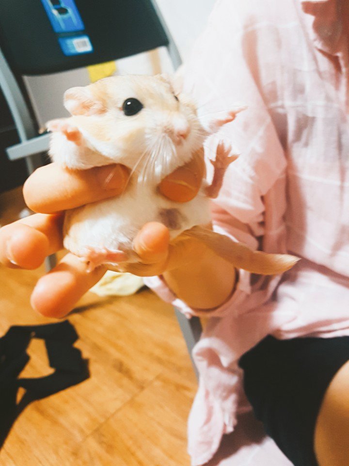 내...내는....

                                 조랭이 떡~!~!!