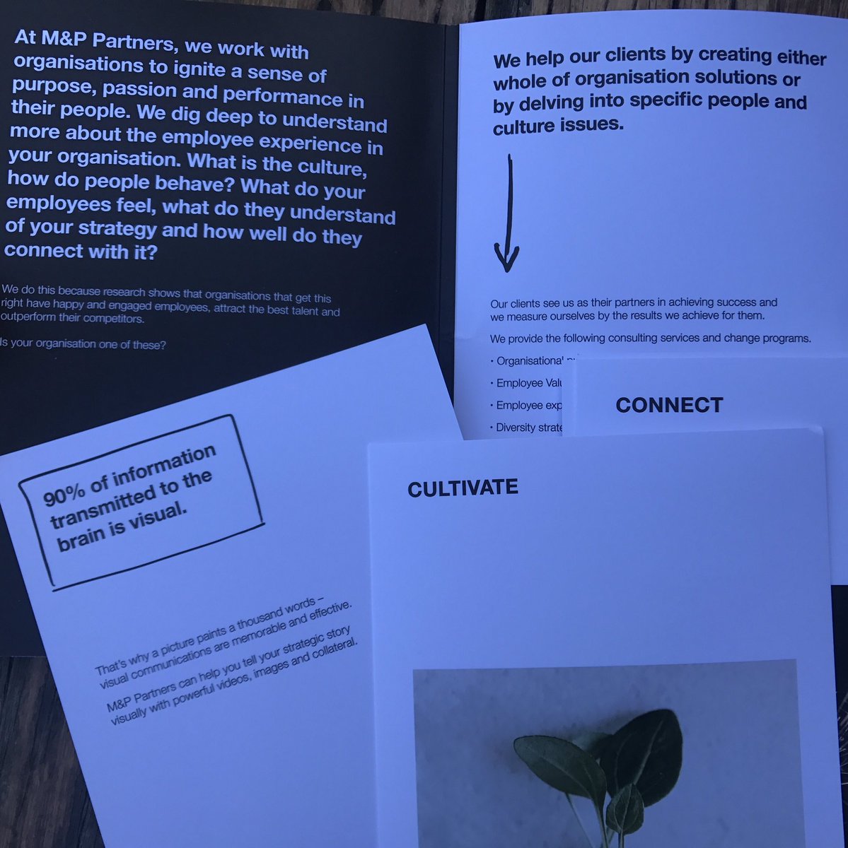 Tony Maxted ⭐️ tweet media