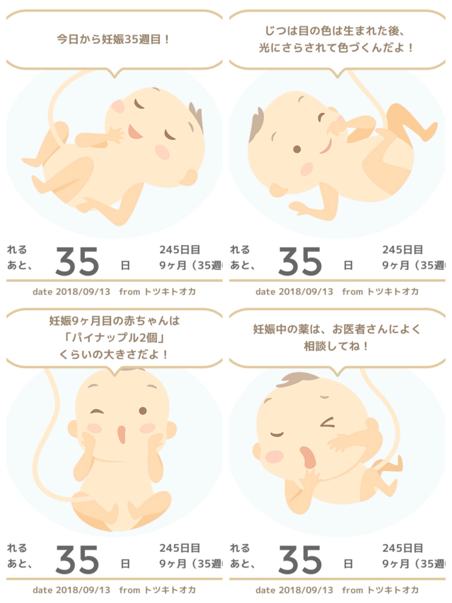 Twitter 上的 ガラス 今日から妊娠35週目 来週から臨月はいる 左下のスクショで 9ヶ月目の赤ちゃんはパイナップル2個分って言うてるけどわかりづらいw何かが一個分で例えてくれw T Co Uh496yuaug Twitter