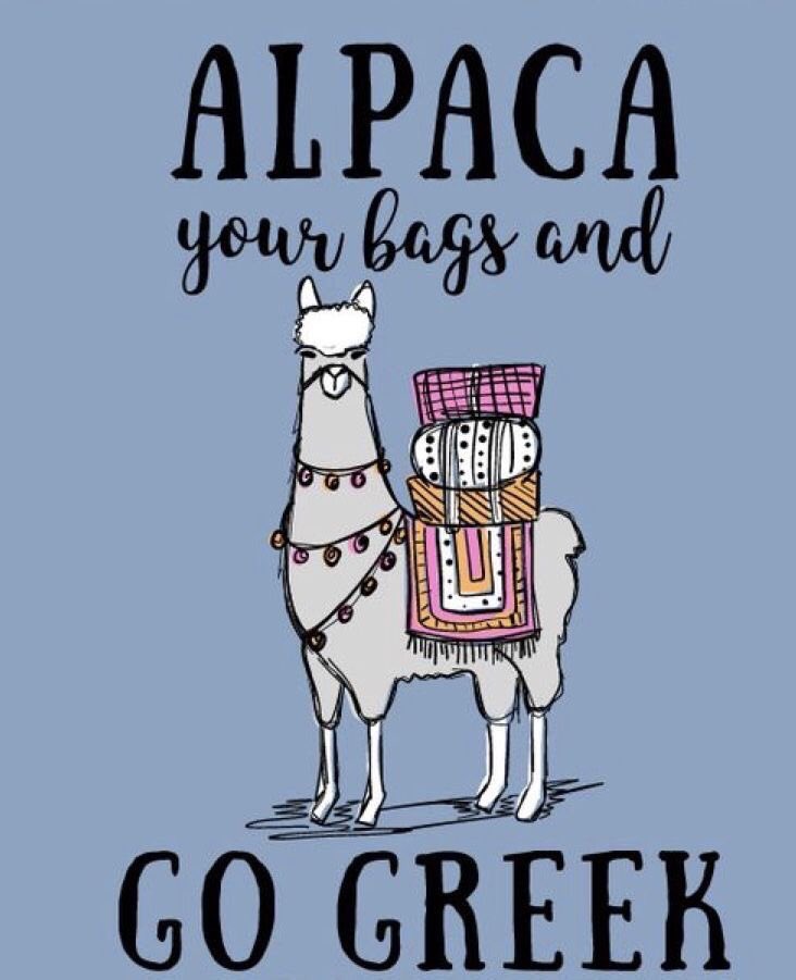Go Greek, link in bio! ✨✨✨