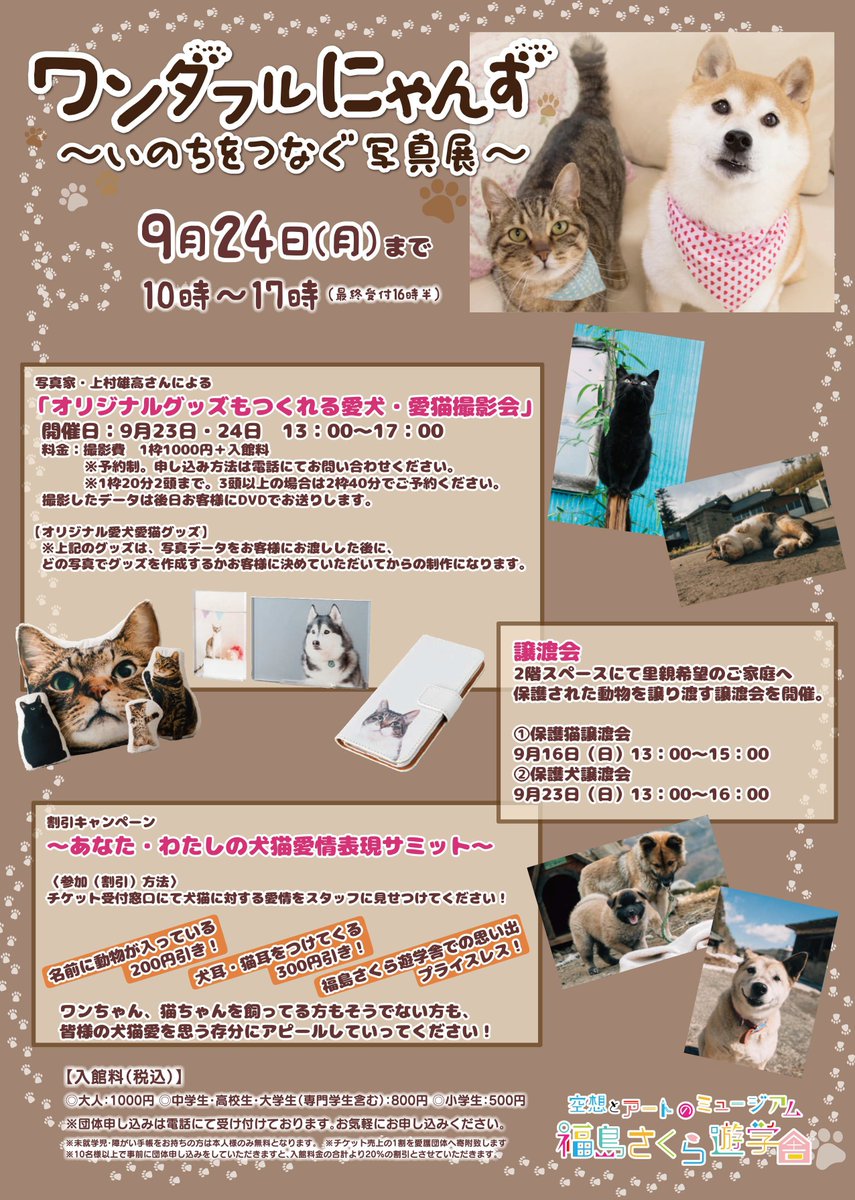 福島さくら遊学舎 Ateliercocon Twitterissa 本日も 福島さくら遊学舎 は元気に開館中 9月も 譲渡会 を開催 保護猫 9月16日13 00 15 00 保護犬 9月23日13 00 16 00 展示と合わせてぜひ可愛い猫ちゃんワンちゃんとお見合いはいかがですか 福島さくら遊学舎 Ateliercocon Twitterissa 本日も 福島さくら遊学舎 は元気に開館中 9月も 譲渡会 を開催 保護猫 9月16日13 00 15 00 保護犬 9月23日13 00 16 00 展示と合わせてぜひ可愛い猫ちゃんワンちゃんとお見合いはいかがですか