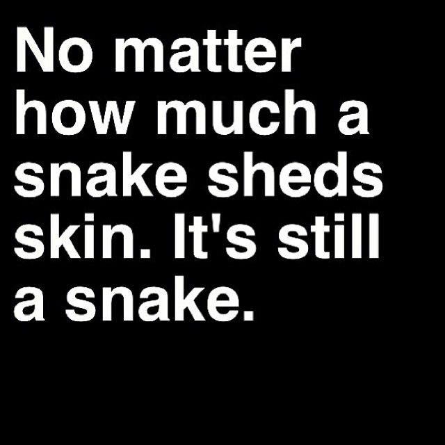 AlyPhillips1's tweet photo. 🤷🏼‍♀️ https://t.co/NnVT3CBdF4