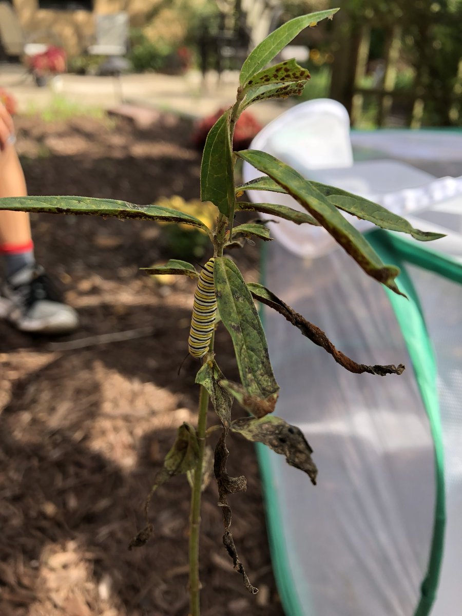 Miss De Lauder tweet media