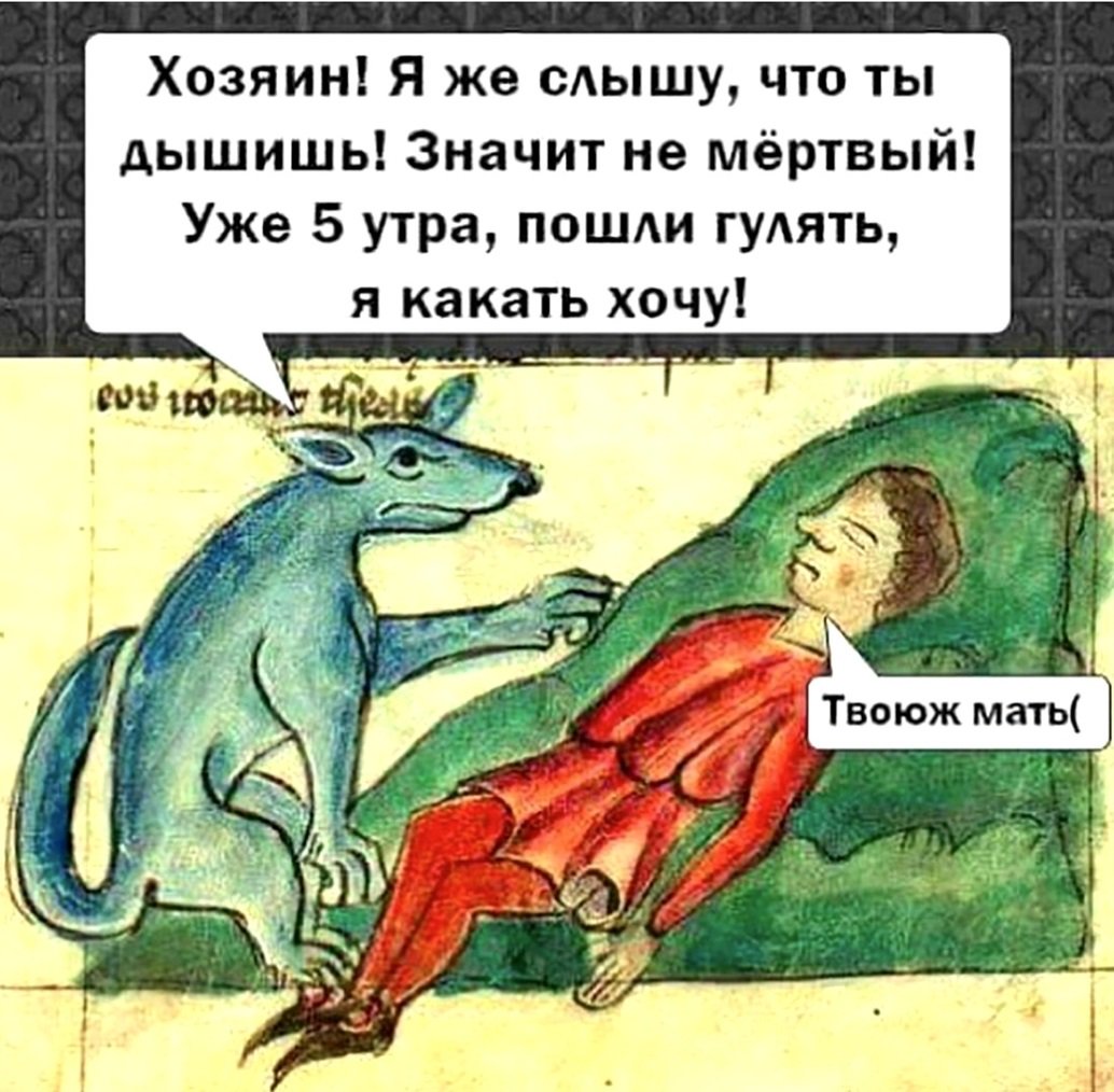 Вся суть домашних животных: