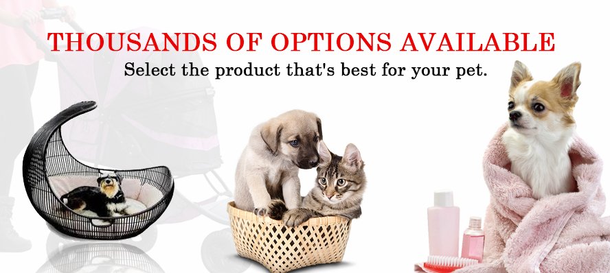 petestheshop's tweet image. Online shopping for Pet Supplies from a great selection of Shampoos, Conditioners, Shampoos Plus #Conditioners &amp;amp; more at every day low prices. Call us: 08 83985560. Visit us: petesthe.com.au

#dogshopping #carshopping #onlineshop #petshopping #groomingservice