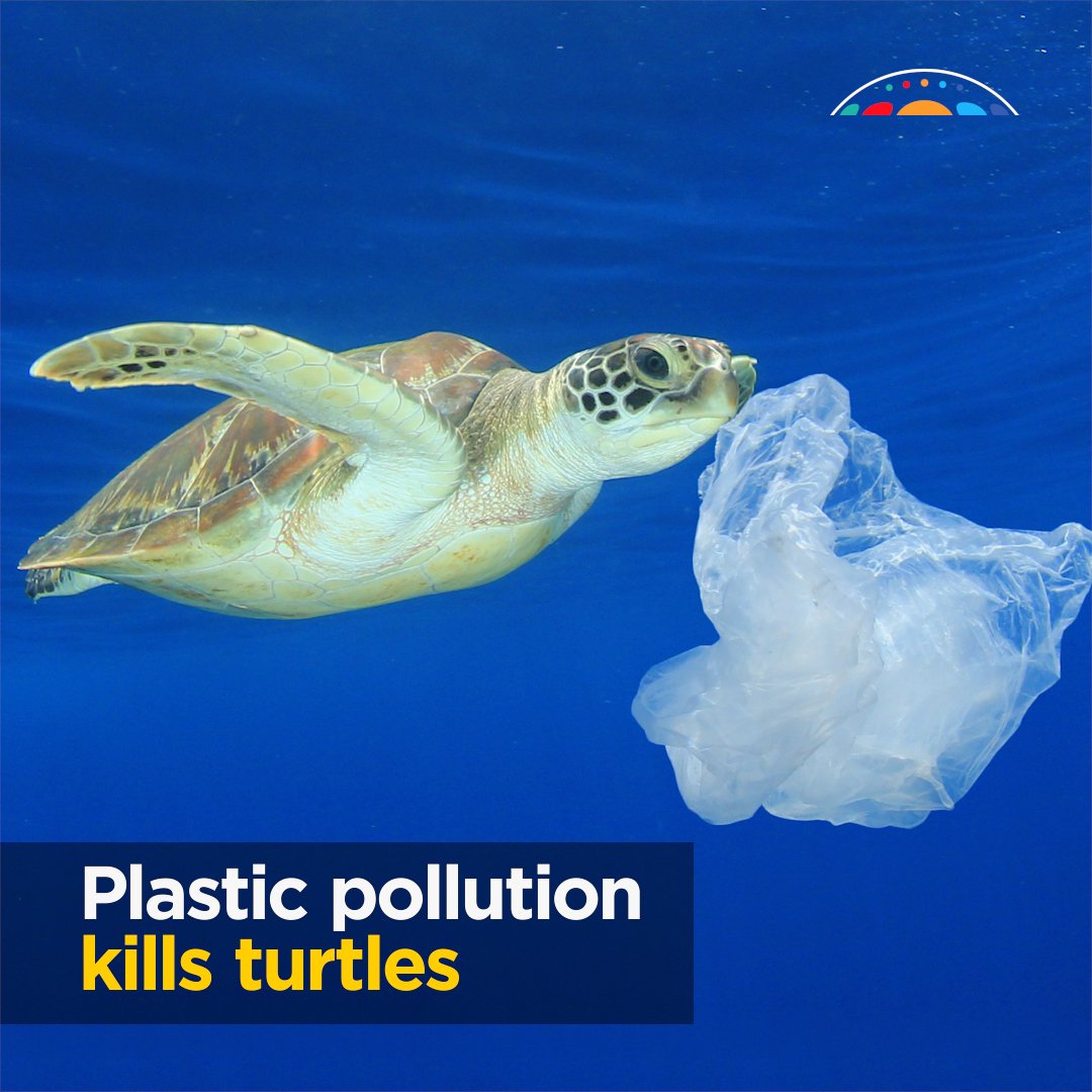 Australian Academy of Science on Twitter "Each year, hundreds of