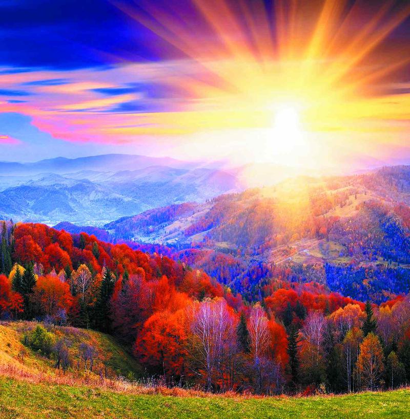 Нигде ничто не ждёт человека... Всегда надо Самому приносить все с собой... 
Любовь в Семью... 
Счастье в Будни... 
Тепло в Дружбу... 
Вот так... 
Доброе утречко... 
Хорошего дня... Всем...