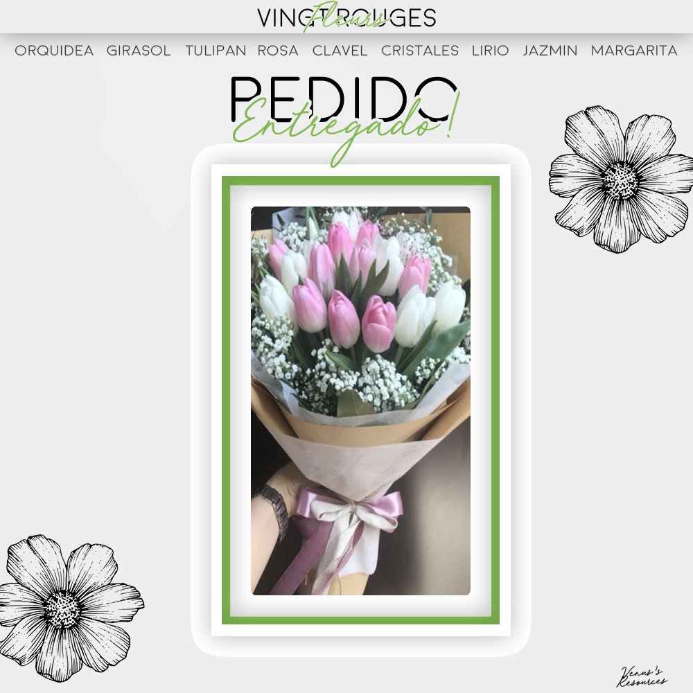 ❝Cher Peter; <a href="/pxrkxrpxt/">Benjamín.</a>.❞

                                 Thømas te ha dejado un increíble ramo de tulipanes con algunos chocolates sólo para ti ¡esperamos que sea de su agrado!

                                         —VFR. 🌸